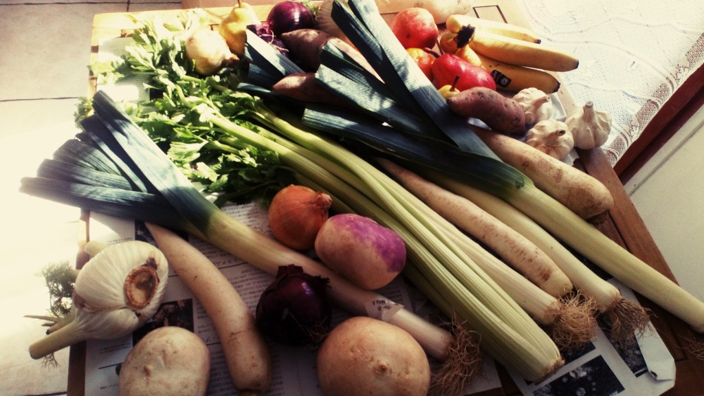 OZONE GENERATOR 身体に良いコト