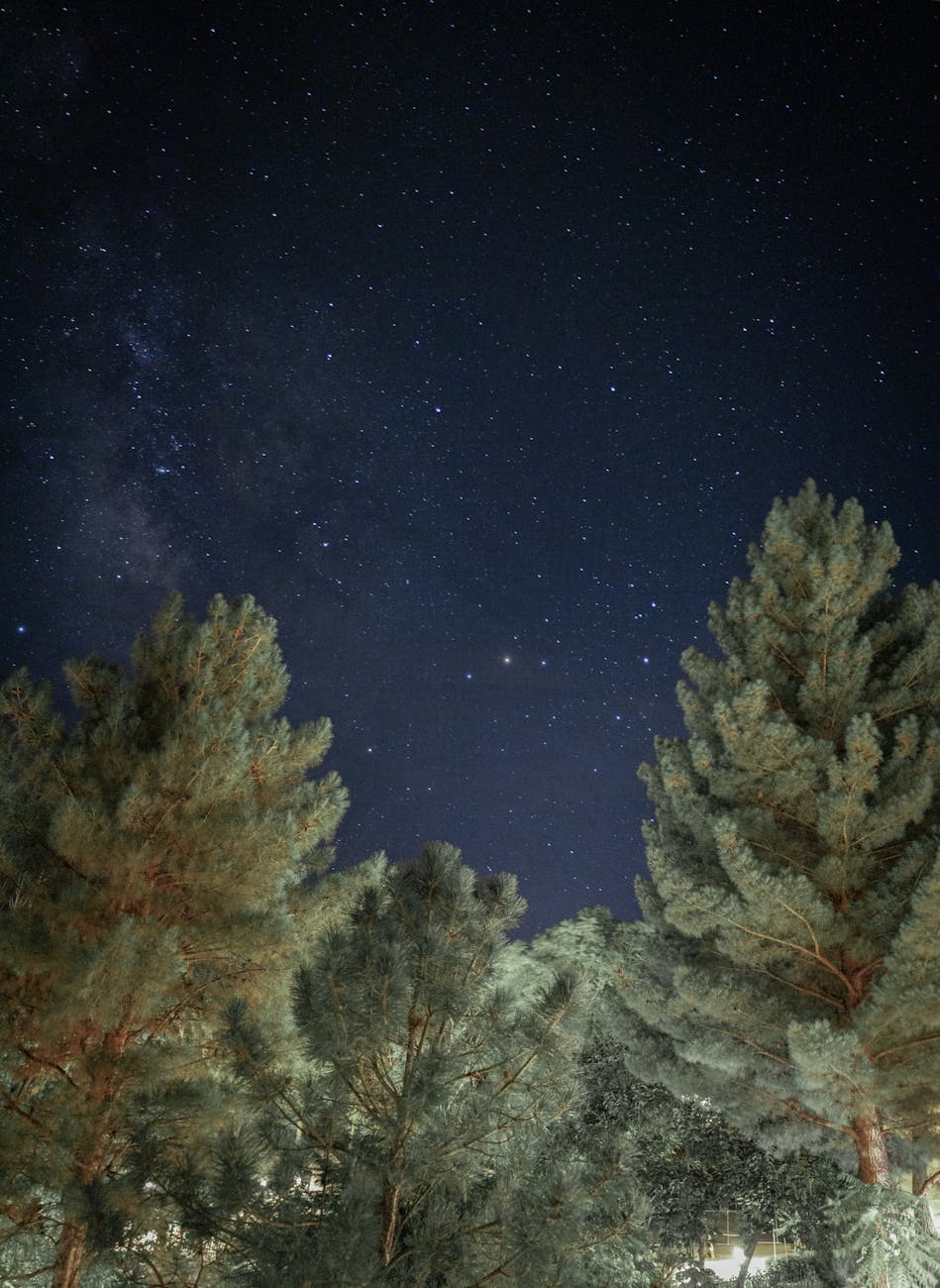 Plannning pour le mois de&nbsp;juin